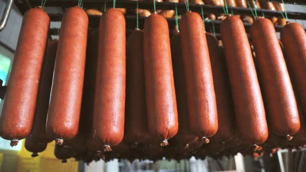 Sausage which is suspended on the shelves, dries in the storage room. Panorama of the sausage which is suspended on laces in the refrigerator. — Stock Video