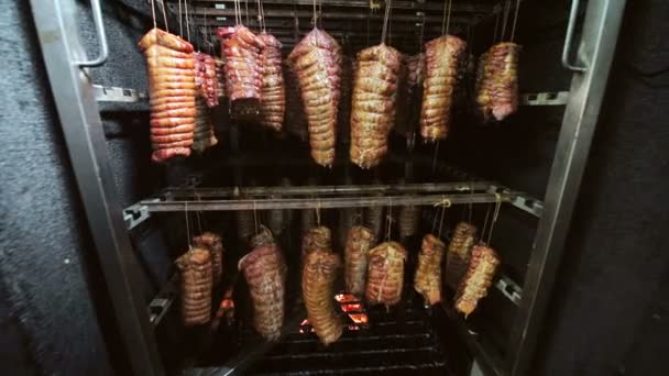 Kusy čerstvé šunky z masa, které se kouří v troubě se dřevem. Zdravé jídlo na palivové dříví v troubě — Stock video