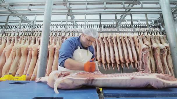 Werknemer met behulp van een elektrische zaag, snijdt stukjes varkensvlees. Uitbening van varkensvlees. Vlees in stukjes snijden. — Stockvideo