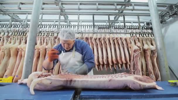 Trabajador usando una sierra eléctrica, corta trozos de carne de cerdo. Deshuesado de carne de cerdo. Cortar la carne en pedazos . — Vídeos de Stock