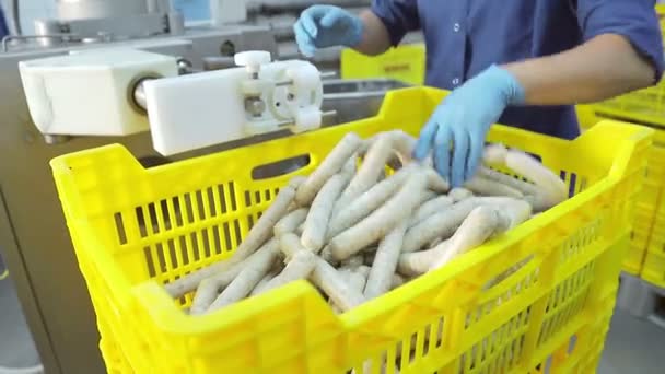 Produktionslinje av korv närbild. Kvinnlig arbetstagare händer kontrollera driften av korv produktionslinjen. Kött bearbetningsanläggning för produktion av korv. — Stockvideo