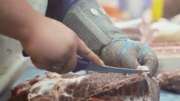 Närbild arbetstagare med en speciell metall handske för skydd skär bitar av kött. Urbening av fläsk produktion — Stockvideo