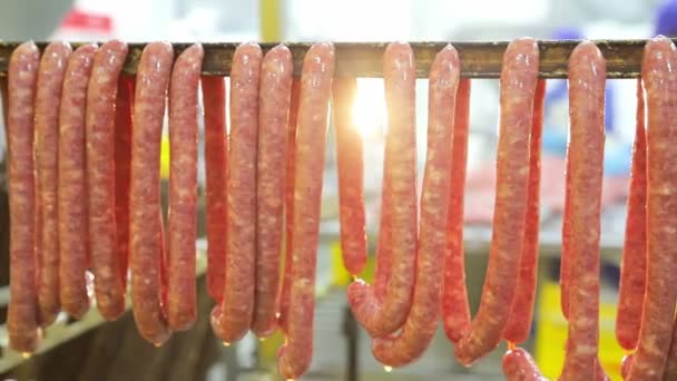 Production de petites saucisses de chasse de sangliers. Les travailleurs ont enfilé de petites saucisses sur les étagères pour poursuivre la cuisson au four. . — Video