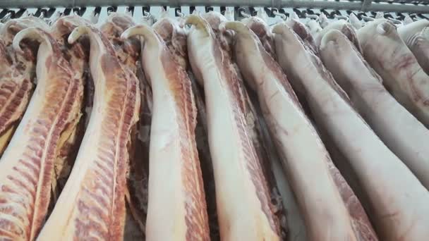 Karkassen van vers varkensvlees hangend aan haken in de koelkast. Langzame panorama-en camerabeweging. Een groot aantal karkassen van varkensvlees in de onderneming — Stockvideo