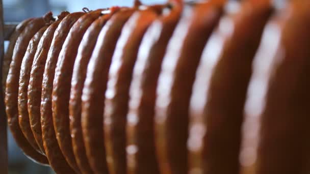 Anillos de salchicha como producto acabado, se seca en bastidores. Panorama de los productos de salchicha terminados — Vídeos de Stock