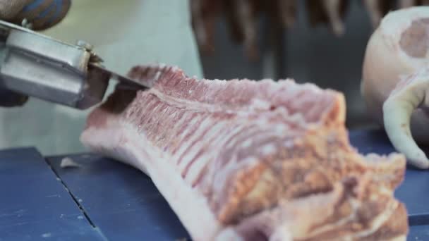 Nahaufnahme eines Arbeiters, der mit einer elektrischen Säge Stücke von Schweinefleisch schneidet. Entbeinung von Schweinefleisch. Fleisch in Stücke schneiden. — Stockvideo