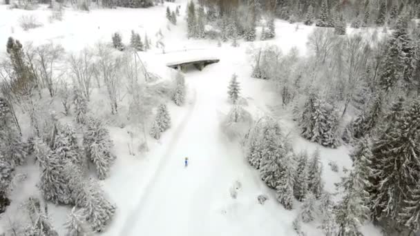 Воздушный беспилотник лыжников проходит трассу зимой в сказочных горах. Лес покрыт снегом и лыжными трассами — стоковое видео