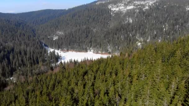 Aerial drone birds eye view frozen lake Synevyr in winter, que se encuentra en las montañas de Ucrania — Vídeos de Stock