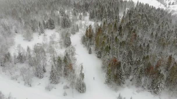 冬季，滑雪者的无人驾驶飞机在难以置信的群山中飞过跑道。 森林里覆盖着雪和滑雪板 — 图库视频影像