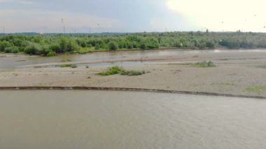 Büyük bir nehrin üzerinde uçan bir kuş sürüsü. Suyun üzerinde dönen martı sürüsü