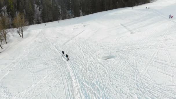 Vista aérea turistas katayutsya en lame en las montañas en invierno . — Vídeos de Stock