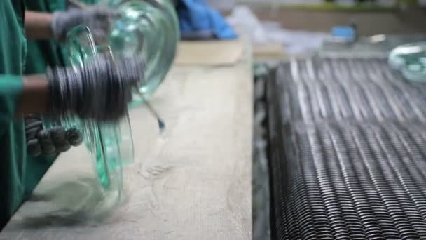 Een medewerker controleert de glazen isolator van elektriciteit op defecten. — Stockvideo