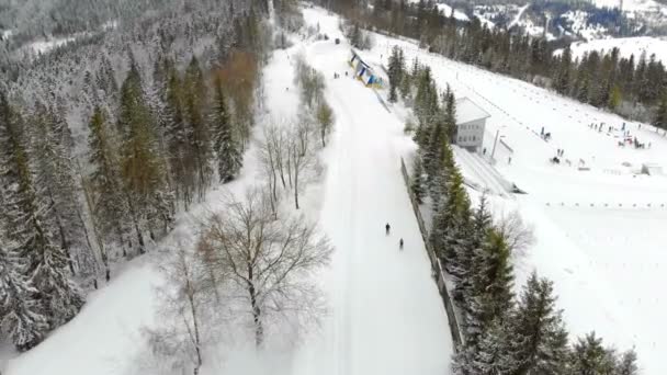 Luchtdrone shot van skiërs passeren de baan in de winter in de prachtige bergen. Het bos is bedekt met sneeuw en piste skiën — Stockvideo