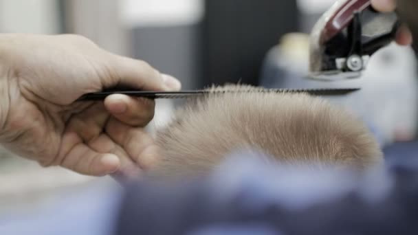 Чоловіча стрижка в перукарні. Крупним планом майстер вирізає чоловіка світлим волоссям за допомогою затискача . — стокове відео
