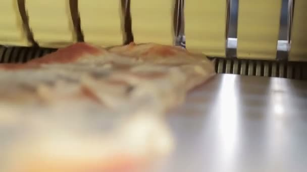 Linia tłoczenia cząstek tłuszczu w przedsiębiorstwie przetwórstwa tusz wieprzowych — Wideo stockowe