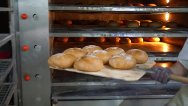 シェフはオーブンから焼きたてのパン屋の製品を削除します。パン屋さんのオーブンから焼きパンを取り出します。. — ストック動画