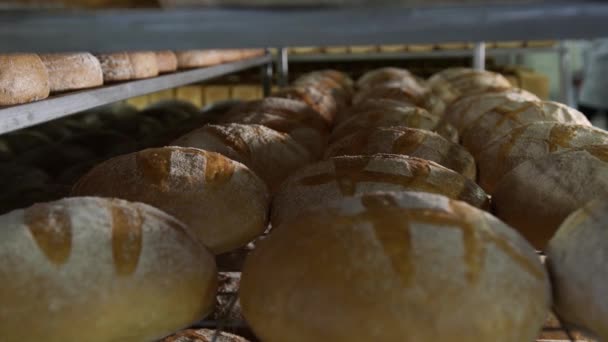 Produção de produtos de padaria fechar. Pão de ruddy acabado de assar de perto, deitado nas prateleiras da fábrica na padaria. Lotes de pão nas prateleiras da padaria — Vídeo de Stock