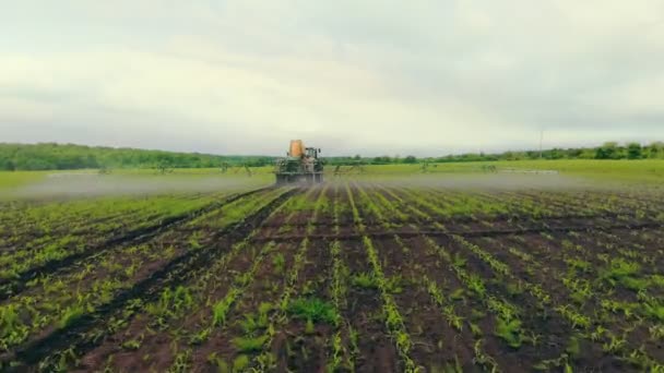 空中ビュー農業機械は緑のフィールドに殺虫剤を噴霧、農業の自然の季節の春の作品。噴霧器で畑に散布する農業用トラクター — ストック動画