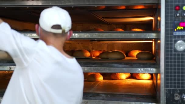 Chef remove produtos de padaria recém-assados do forno. Pão assado é removido do forno em uma padaria . — Vídeo de Stock