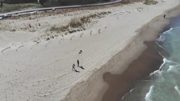 Widok z powietrza ludzi wyprowadzających psy na brzeg jeziora Michigan w Illinois. Ludzie wyprowadzający psy na piaszczystej plaży. — Wideo stockowe