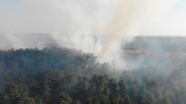 Yanan ormanın tepesinden bak. Güneşli bir günde kuru bir ormanda yanan bir ateş. Büyük çaplı orman yangını. Büyük bir orman yanıyor..