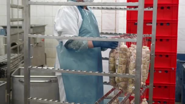Mitarbeiter der Wurstabteilung stellt die Wurst ins Regal des Trocknungskabinetts. Zubereitung für Bratwurst. — Stockvideo