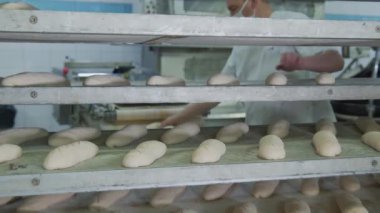 Fırın fırını. Fırının çalışanı hamur hamurundan üretilen fırın ürünlerini daha fazla pişirmek için dağıtır..