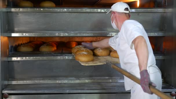 El chef elimina del horno los productos de panadería recién horneados. El pan horneado se retira del horno en una panadería . — Vídeo de stock