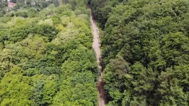 Bovenaanzicht vanuit de lucht Auto rijdt op een slechte weg in het bos tussen de bomen, langs kuilen op de weg. — Stockvideo