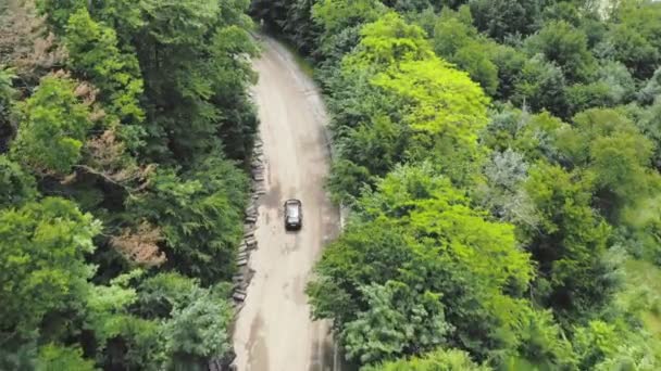 Hava manzaralı araba ağaçların arasında kötü bir yolda ilerliyor, yoldaki çukurları pas geçiyor.. — Stok video