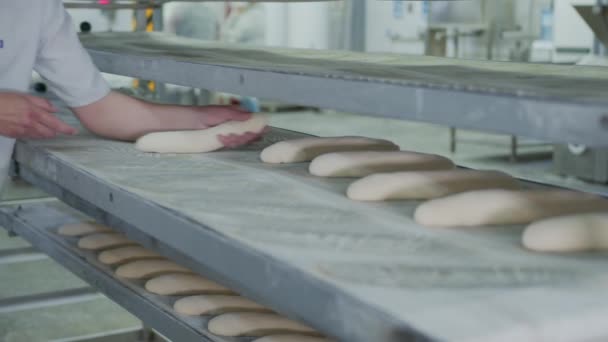 Panadería panadería para hornear. El empleado de la panadería difunde los productos de panadería creados a partir de la masa para hornear más . — Vídeos de Stock