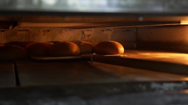 Close up de pão recém-assado retirado do forno — Vídeo de Stock