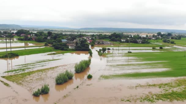 Fluss aus der Luft, der nach heftigen Regenfällen über die Ufer trat und landwirtschaftliche Felder überflutete — Stockvideo