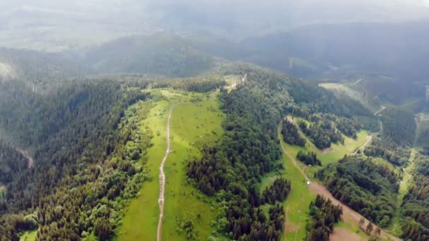 Aerial Drone View: Mesés kilátás nyílik a Kárpátok Ukrajna. A hegytetőket zöld fű és alpesi fák borítják. Utazás a mesés hegyekbe — Stock videók