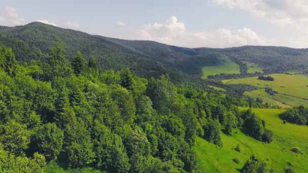 空中飞越一片绿树成荫的森林.绿树的背景。无人机画面 — 图库视频影像