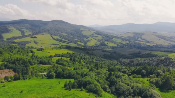 Aerial Flying over a forest of green trees. Background of green trees. Drone footage — Stock Video