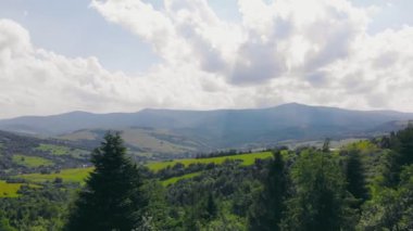 Yeşil ağaçlardan oluşan bir ormanın üzerinde uçan bir hava. Yeşil ağaçların arka planı. İnsansız hava aracı görüntüleri