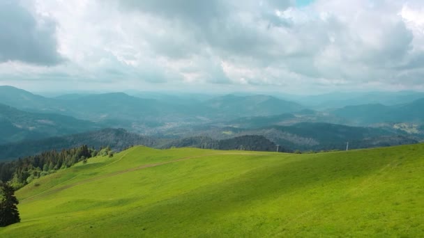 Aerial Drone View montañas cubiertas de hierba verde y árboles verdes. Vista de las cimas de las montañas cubiertas de densos bosques. Fabulosa vista de las montañas Cárpatos en Ucrania . — Vídeo de stock