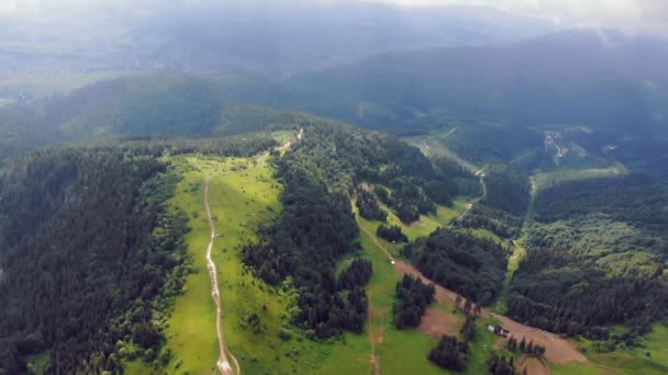 Aerial Drone View hegyek borított zöld fű és zöld fák. Kilátás a hegycsúcsok borított sűrű erdők. Mesés kilátás nyílik a Kárpátok Ukrajna. — Stock videók