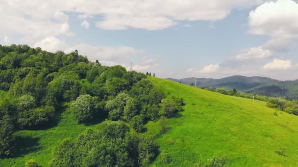 空中緑の木々の森の上を飛ぶ。緑の木の背景。ドローン映像 — ストック動画