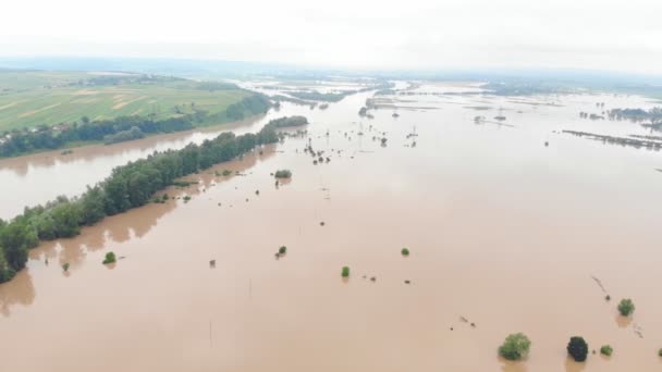 Aerial view river that overflowed after heavy rains and flooded agricultural fields — Stock Video