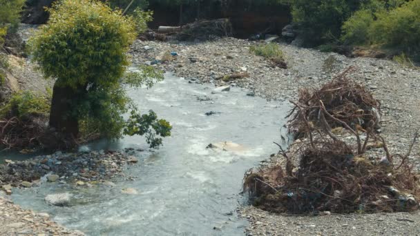 洪水後の山の川のコース。山の川の洪水後の木々や石の遺跡. — ストック動画