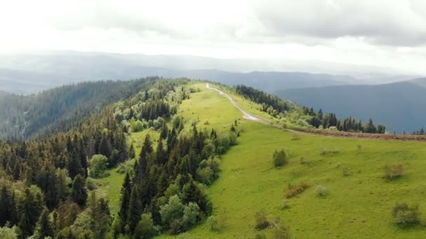 Drone aéreo Vista montanhas cobertas com grama verde e árvores verdes. Vista dos cumes das montanhas cobertos de florestas densas. Fabulosa vista das montanhas dos Cárpatos na Ucrânia . — Vídeo de Stock