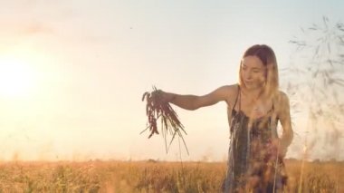 Kadın buğday tarlasında resim çiziyor, akrilik buğday boyuyor. Buğday boyasıyla resim yapmak için modern bir yöntem..