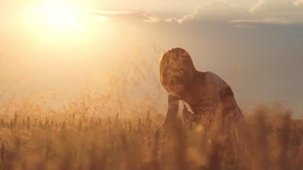 Silhuett av en kvinnlig konstnär som målar en bild på ett vetefält med öron av vete vid solnedgången. Föreställning i måleri. Solen strålar skina in i kameran. — Stockvideo