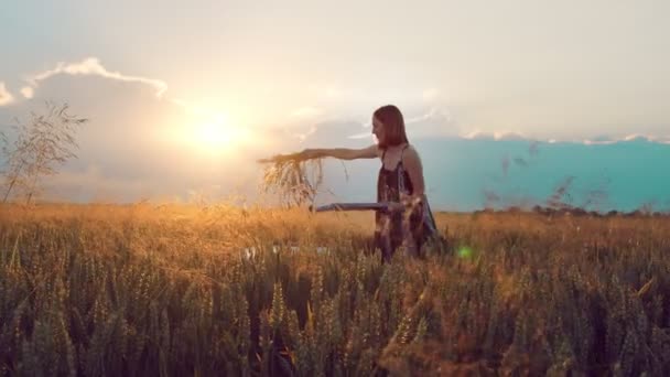 Femme artiste qui peint un tableau des épis de blé au coucher du soleil. L'artiste peint un tableau avec des épis de blé avec de la peinture. Les rayons du soleil brillent dans la caméra. — Video