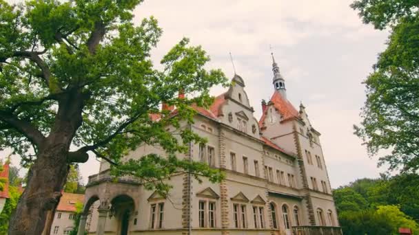 2020年6月25日、ウクライナのカルパティー。カルパティアに位置するシェンボーン伯爵の美しい絵の宮殿-ウクライナのトランスカルパティア地域のムカチェヴォ地区の村 — ストック動画