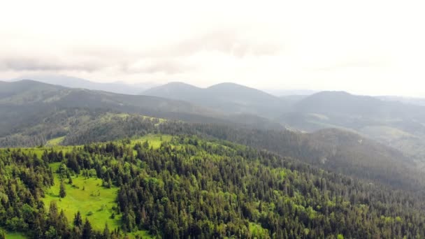 Letecký dron Pohled na hory pokryté zelenou trávou a zelenými stromy. Pohled na vrcholky hor pokryté hustými lesy. Nádherný výhled na Karpatské hory na Ukrajině. — Stock video