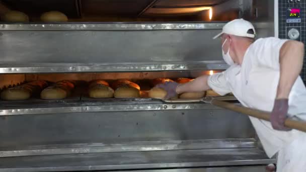 Chef tar bort nybakade bageriprodukter från ugnen. Bakat bröd tas ut ur ugnen i ett bageri. — Stockvideo
