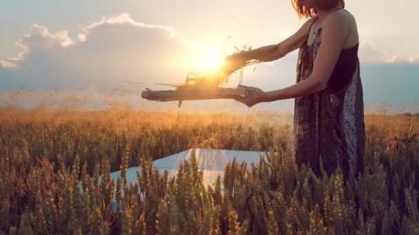 Woman artist who paints a picture of ears of wheat at sunset. The artist paints a picture with ears of wheat with paint. The suns rays shine into the camera. — Stock Video